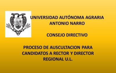 Proceso de Auscultacion… Calendarización.